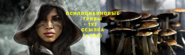мескалин Нефтегорск