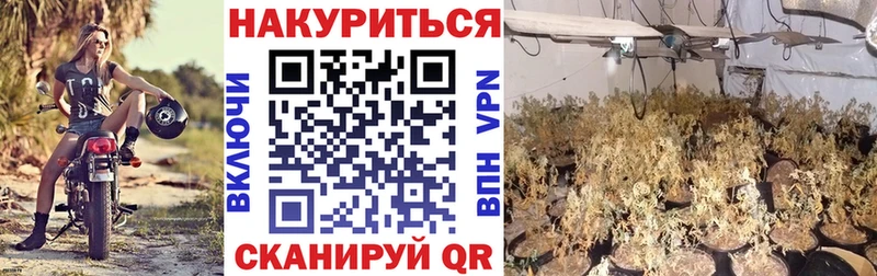 Каннабис MAZAR Белоозёрский